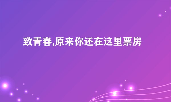 致青春,原来你还在这里票房