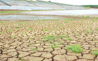 受高温影响!湖北旱情严重超过100万人参与抗旱,如何有成效的抗旱?