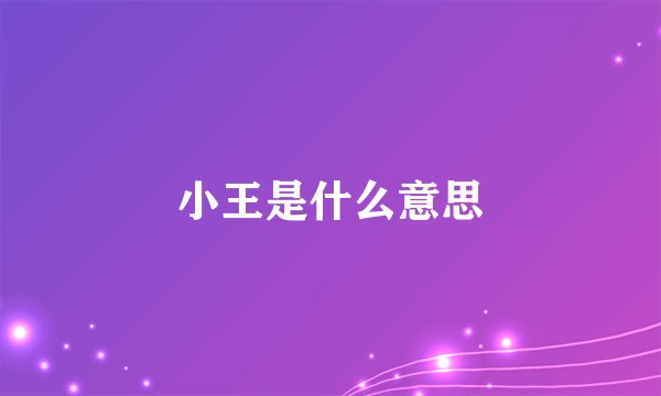 小王是什么意思