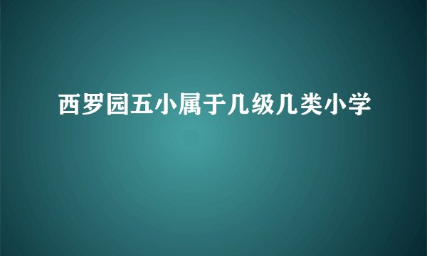 西罗园五小属于几级几类小学