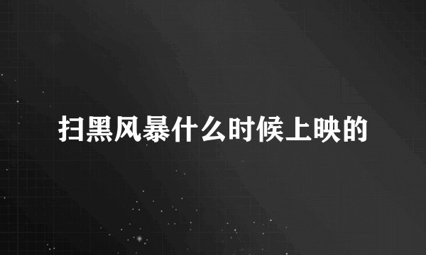 扫黑风暴什么时候上映的