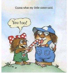 you too是什么意思？