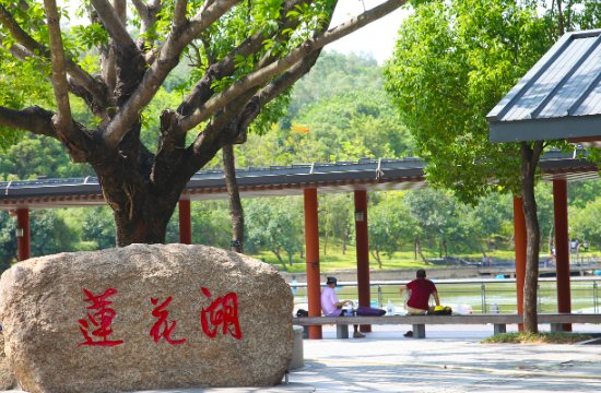 深圳有哪些好玩的地方景点