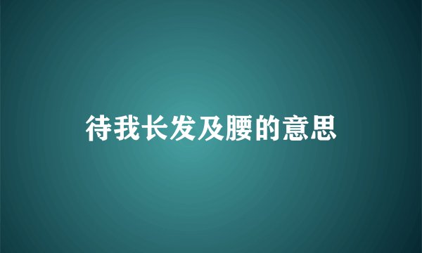 待我长发及腰的意思