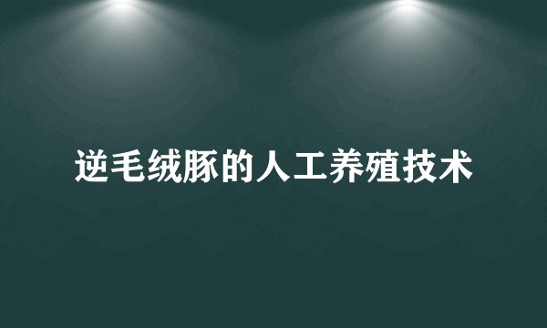 逆毛绒豚的人工养殖技术