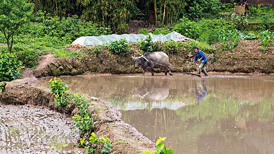 中国七子是哪七子？