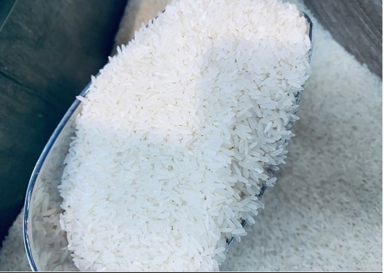 制止餐饮浪费相关措施将会在什么时候出台？