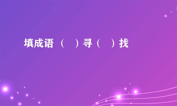 填成语 （  ）寻（  ）找