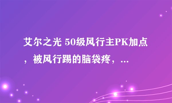 艾尔之光 50级风行主PK加点，被风行踢的脑袋疼，我也练个。要图