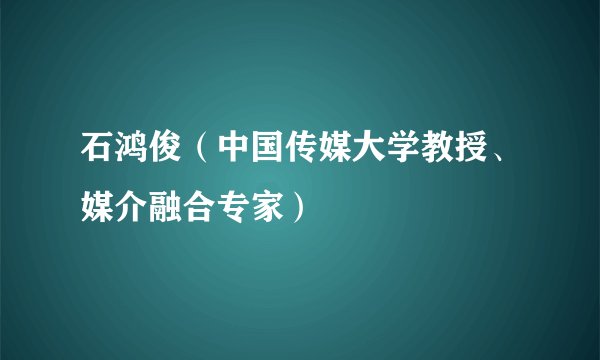 石鸿俊（中国传媒大学教授、媒介融合专家）