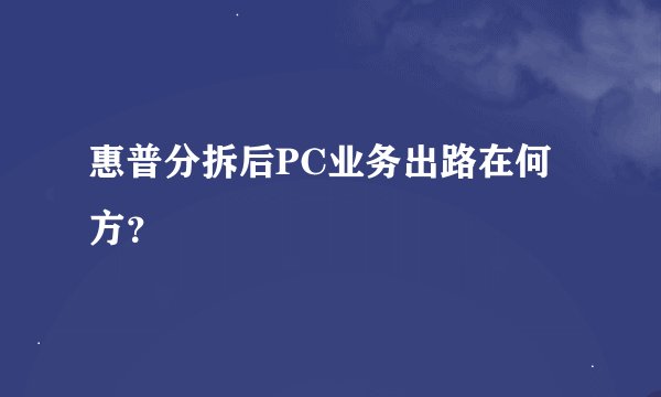 惠普分拆后PC业务出路在何方？