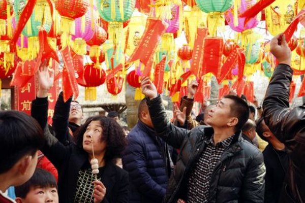 静观其变动物生肖