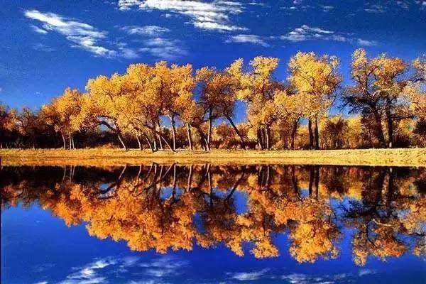 国庆假期或有近8亿人次出游，预测亲子游占28%，有不坑的景点推荐吗？