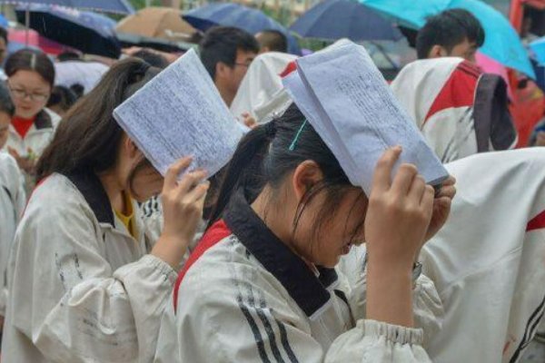 河南高考招生办公室的电话是多少？