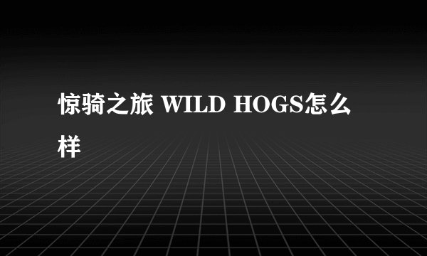 惊骑之旅 WILD HOGS怎么样