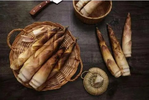 如雨后春笋般涌现是什么意思