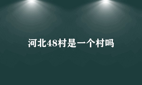 河北48村是一个村吗