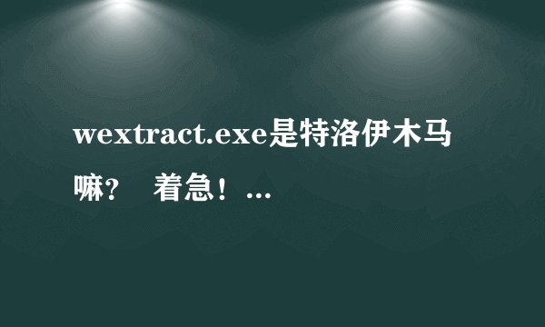 wextract.exe是特洛伊木马嘛？  着急！！！！！