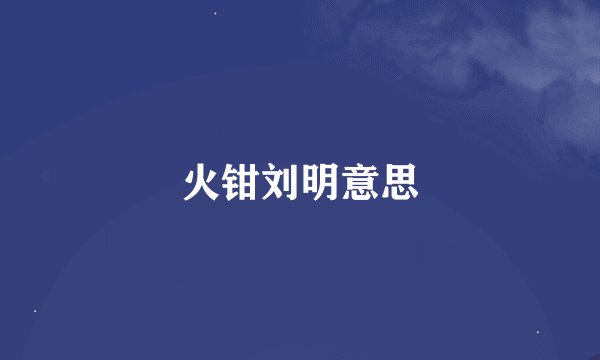 火钳刘明意思