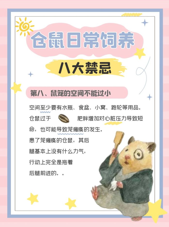 仓鼠饲养八大禁忌,新手必看