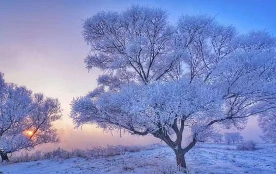 jl是哪个城市的缩写