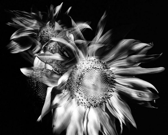 什么叫远景、全景、近景、特写？