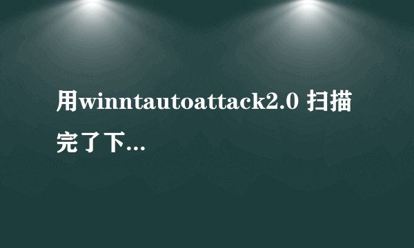 用winntautoattack2.0 扫描完了下一步该怎么做？