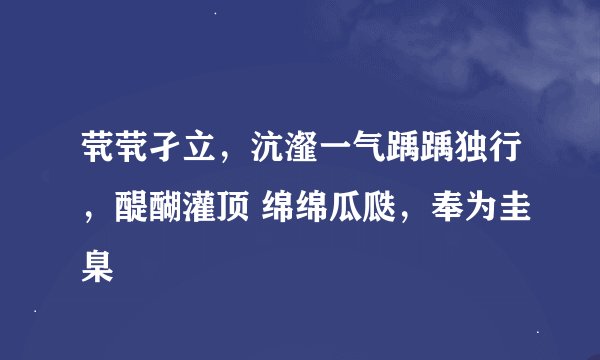 茕茕孑立，沆瀣一气踽踽独行，醍醐灌顶 绵绵瓜瓞，奉为圭臬