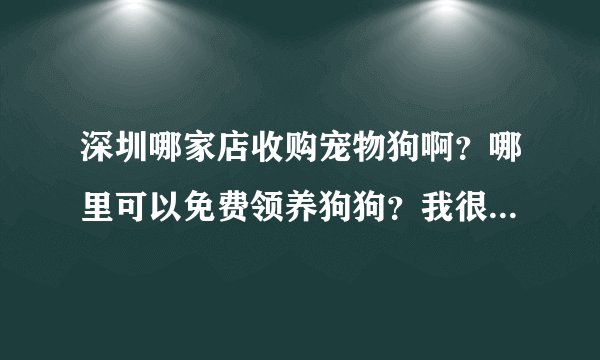 深圳哪家店收购宠物狗啊？哪里可以免费领养狗狗？我很想要一只狗狗