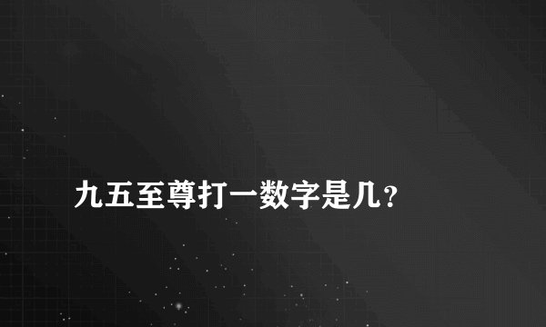 
九五至尊打一数字是几？

