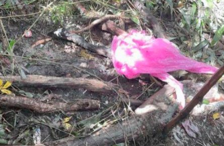 遇难地质人员进山为何穿一次性雨衣？