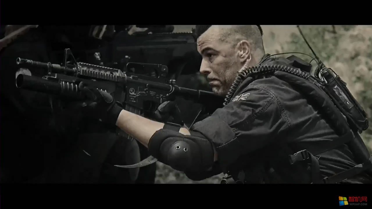 王鱼行动的介绍