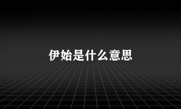 伊始是什么意思