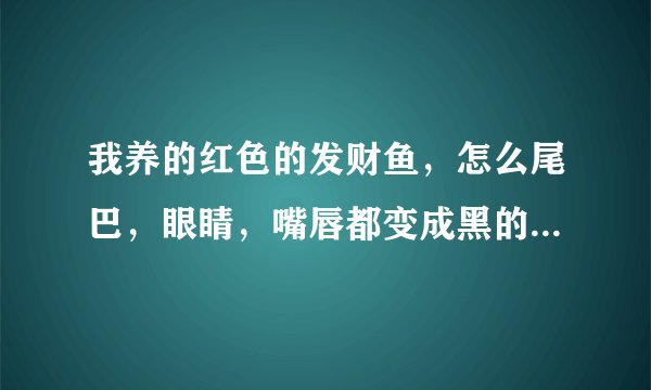 我养的红色的发财鱼，怎么尾巴，眼睛，嘴唇都变成黑的了？是什么原因呢？
