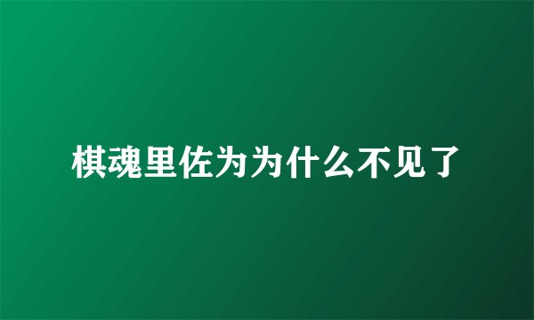棋魂里佐为为什么不见了