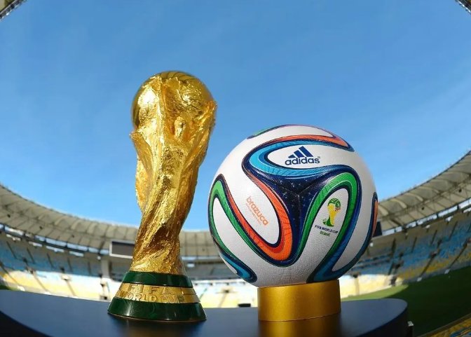 2014年法国世界杯成绩