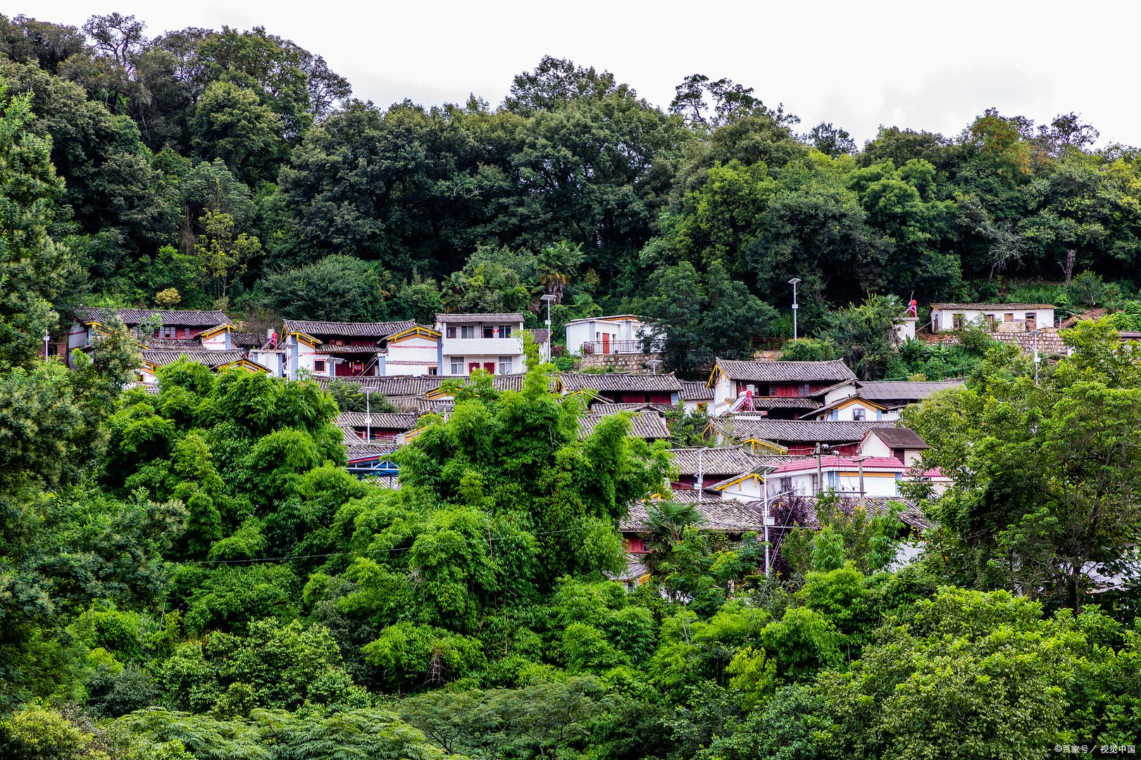 楚人美是小说和影视作品中虚构的人物，楚人美真的存在吗?楚人美是谁？