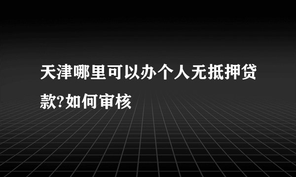天津哪里可以办个人无抵押贷款?如何审核