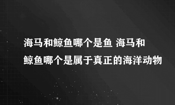 海马和鲸鱼哪个是鱼 海马和鲸鱼哪个是属于真正的海洋动物