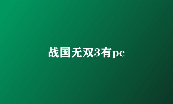 战国无双3有pc
