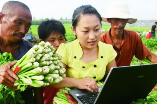 大学生村官是哪年开始实施的