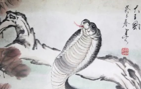 步步为营打一最佳生肖