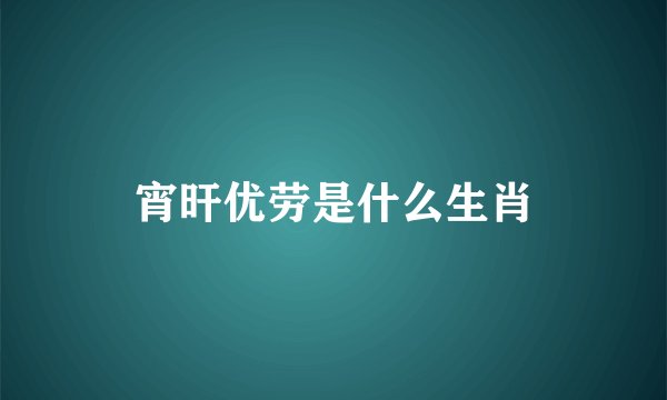 宵旰优劳是什么生肖