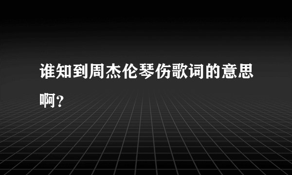 谁知到周杰伦琴伤歌词的意思啊？