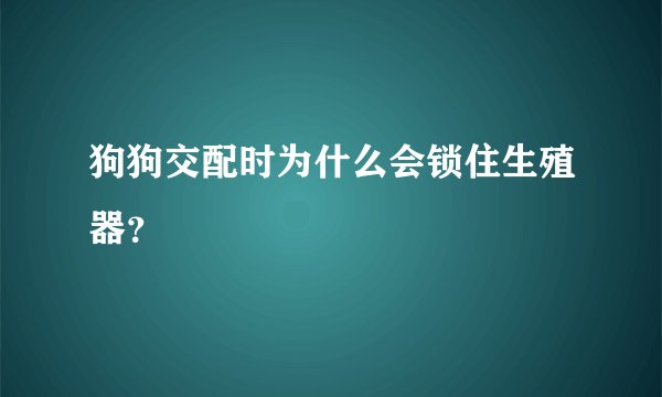 狗狗交配时为什么会锁住生殖器？