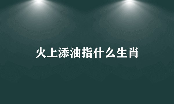 火上添油指什么生肖
