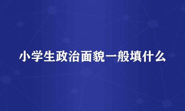 小学生政治面貌一般填什么