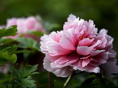 用“不必说??也不必说??单是??”造句 150字左右 谢谢！