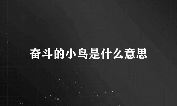 奋斗的小鸟是什么意思