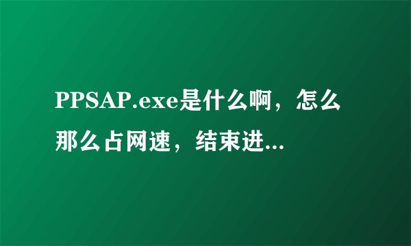 PPSAP.exe是什么啊，怎么那么占网速，结束进程又说会发生不希望看到的结果，怎么办啊，可不可以结束掉啊！